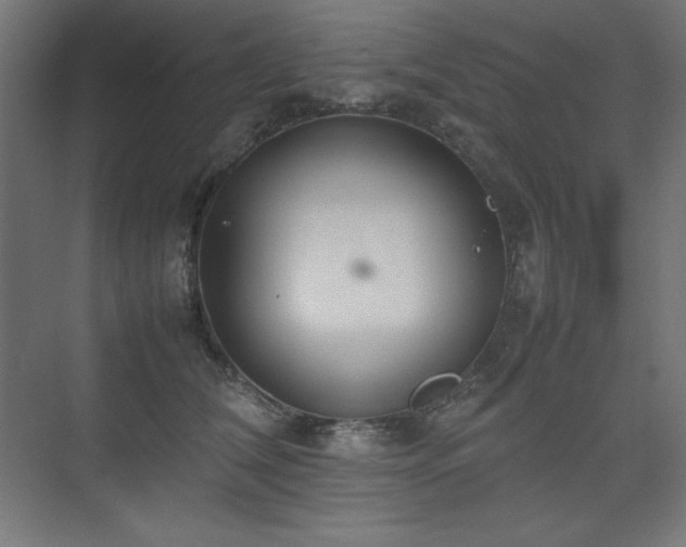 X0000074970612200609011217