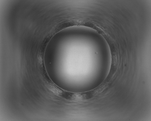 X0000074970613200609011217