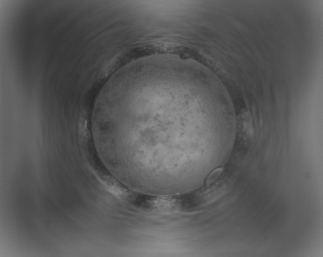 X0000074970615200609011217