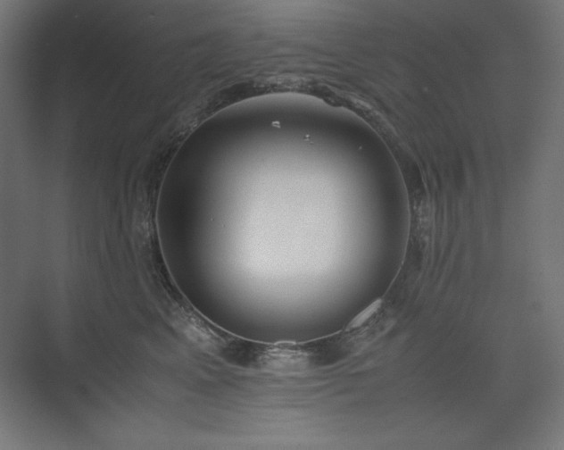 X0000074970617200609011217