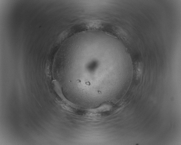 X0000074970619200609011217