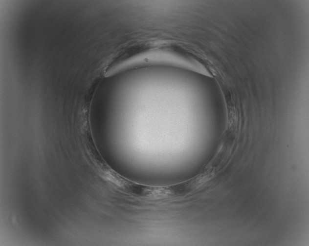 X0000074970621200609011217