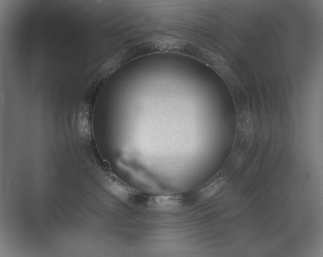 X0000074970622200609011217