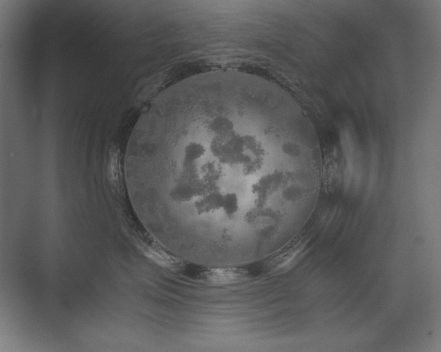 X0000074970623200609011217