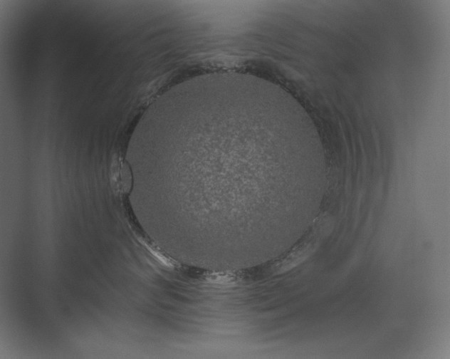 X0000074970624200609011217