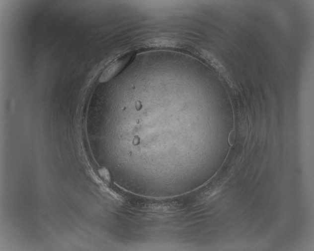 X0000074970625200609011216