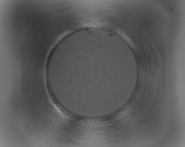 X0000074970626200609011216