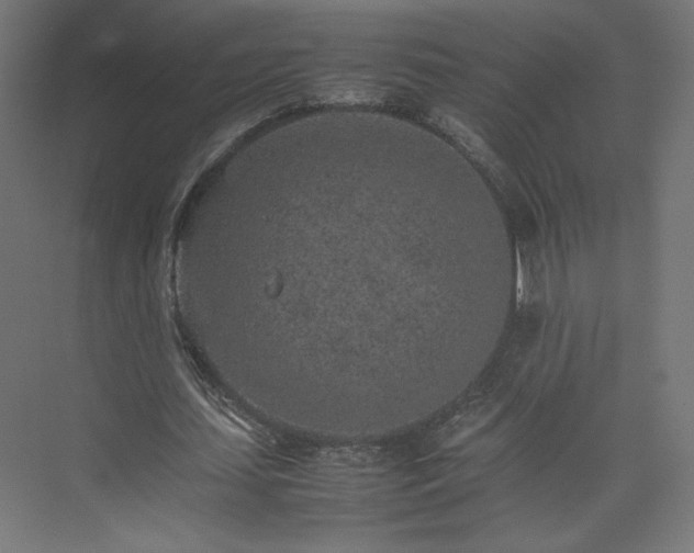 X0000074970627200609011216