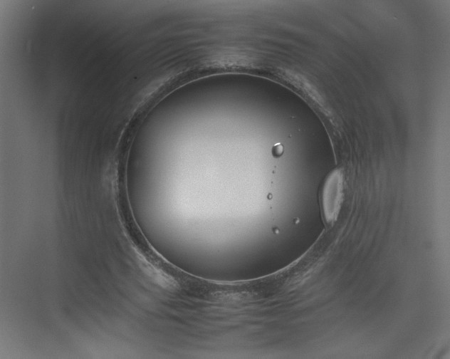 X0000074970629200609011217