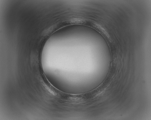 X0000074970633200609011217