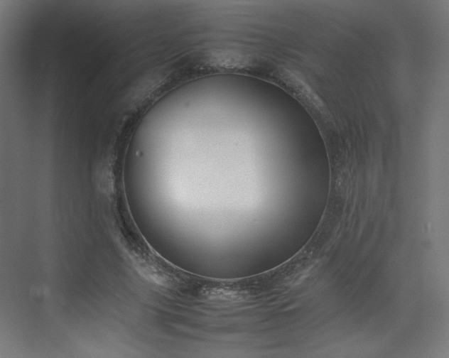 X0000074970635200609011217