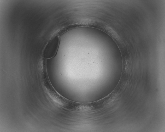 X0000074970636200609011217