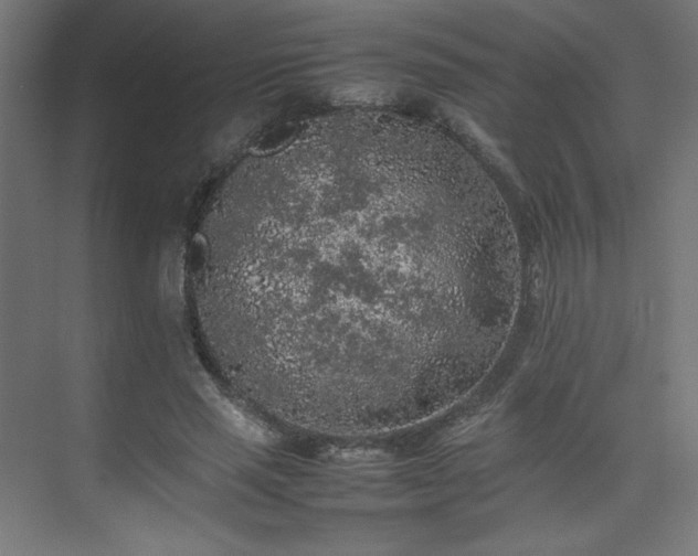 X0000074970637200609011217