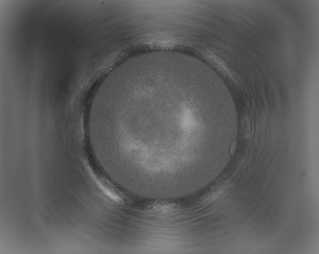 X0000074970638200609011217