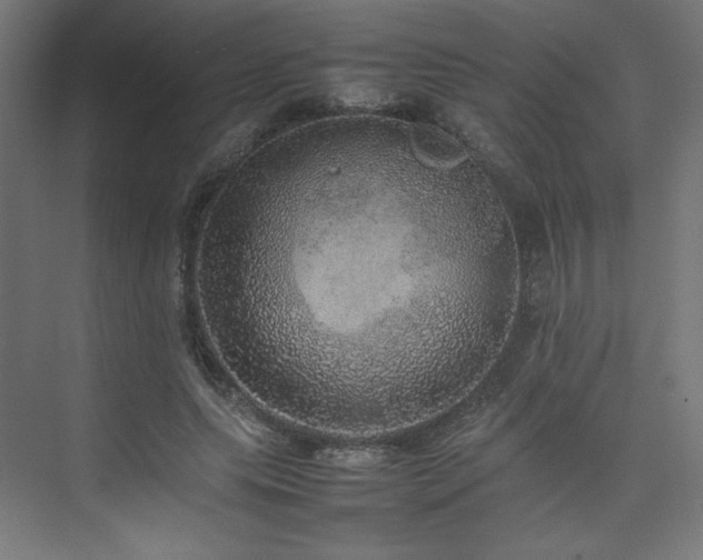 X0000074970639200609011217