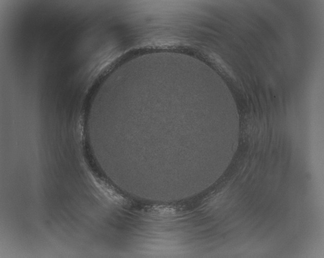 X0000074970640200609011217