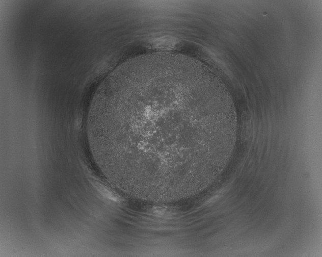 X0000074970641200609011217