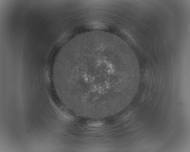 X0000074970643200609011217