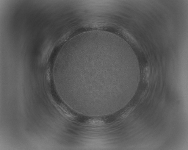 X0000074970644200609011217