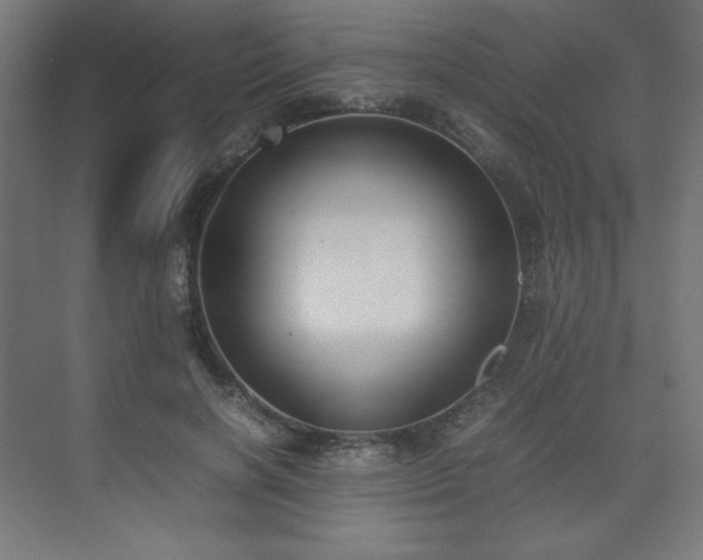 X0000074970646200609011217