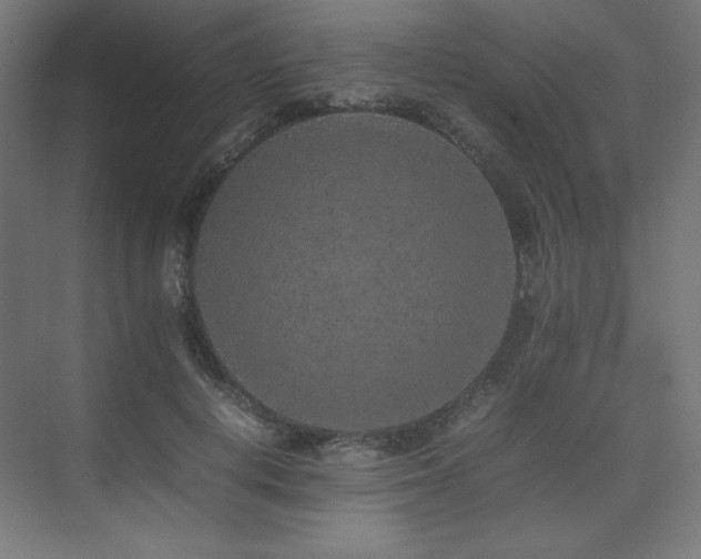 X0000074970648200609011217