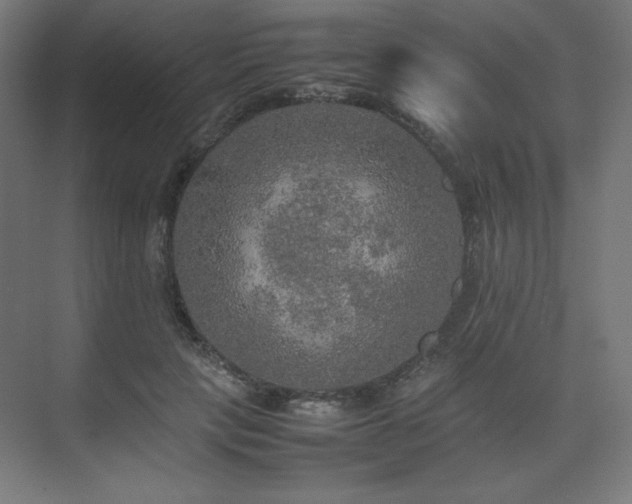 X0000074970649200609011217