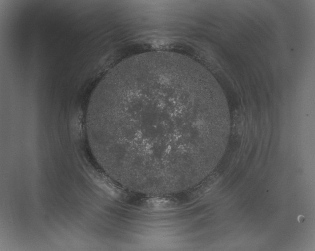 X0000074970650200609011217