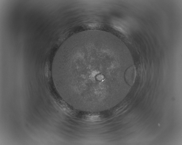 X0000074970651200609011217