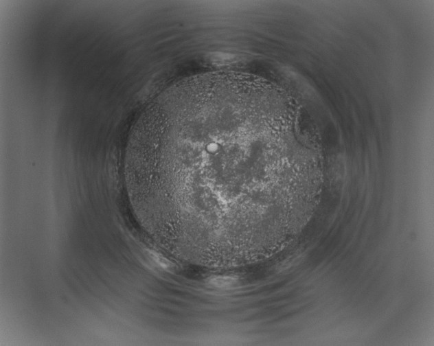 X0000074970653200609011217