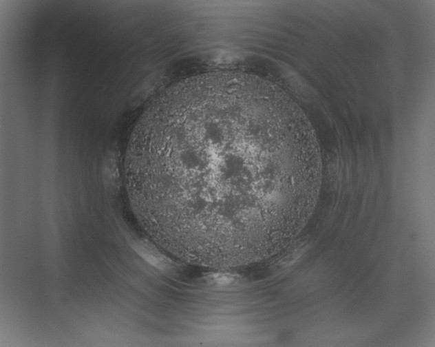 X0000074970654200609011217