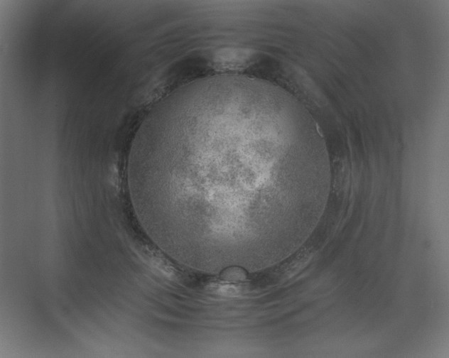 X0000074970655200609011217