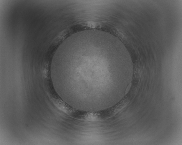 X0000074970656200609011217