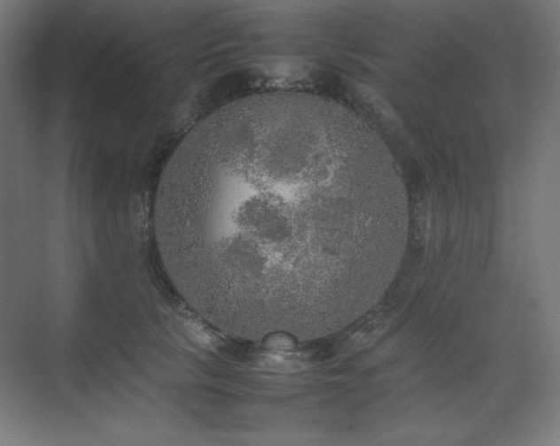 X0000074970657200609011217