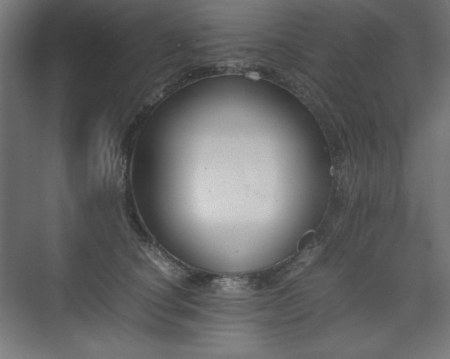 X0000074970660200609011217