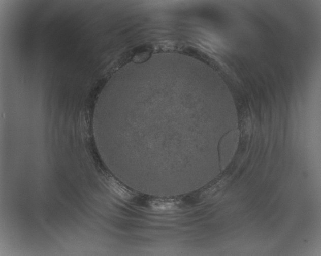 X0000074970661200609011217