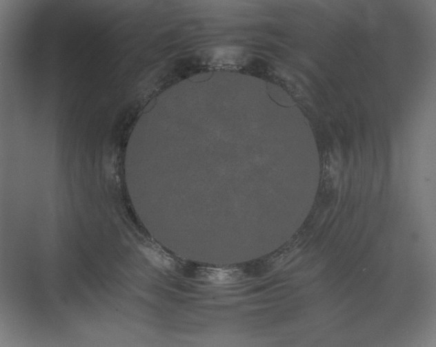 X0000074970663200609011217