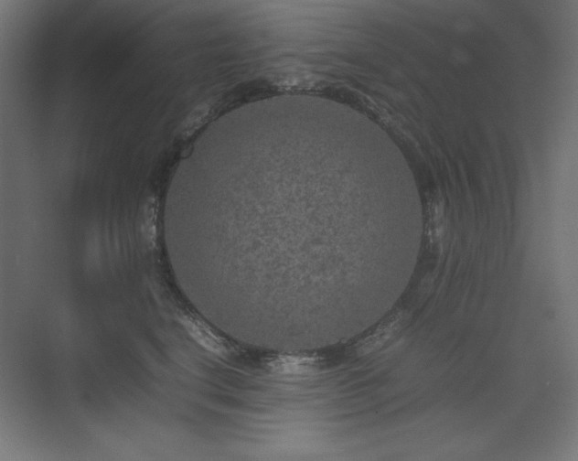 X0000074970664200609011217