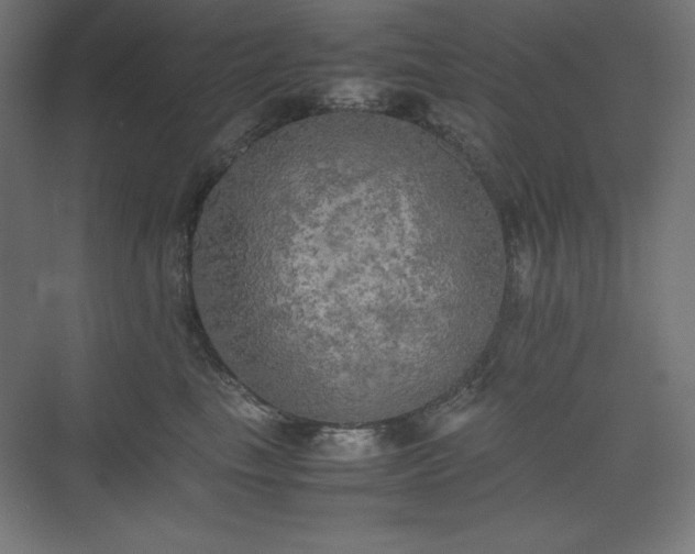 X0000074970665200609011217