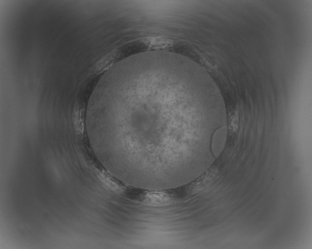 X0000074970666200609011217