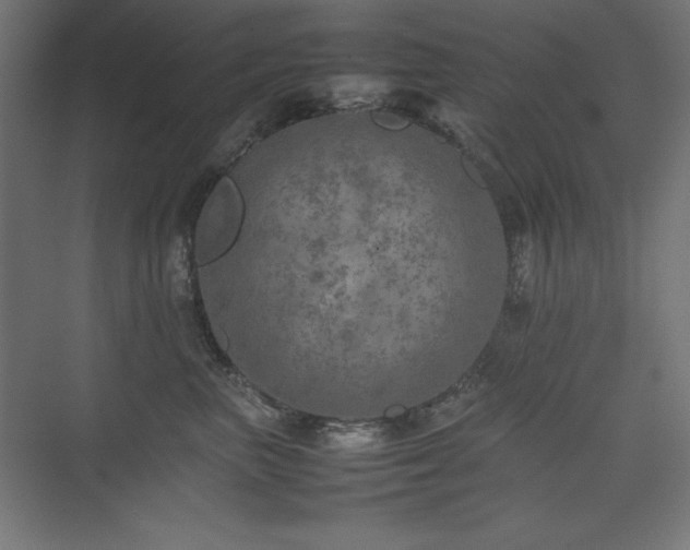 X0000074970667200609011217