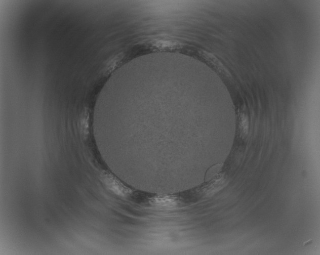 X0000074970668200609011217