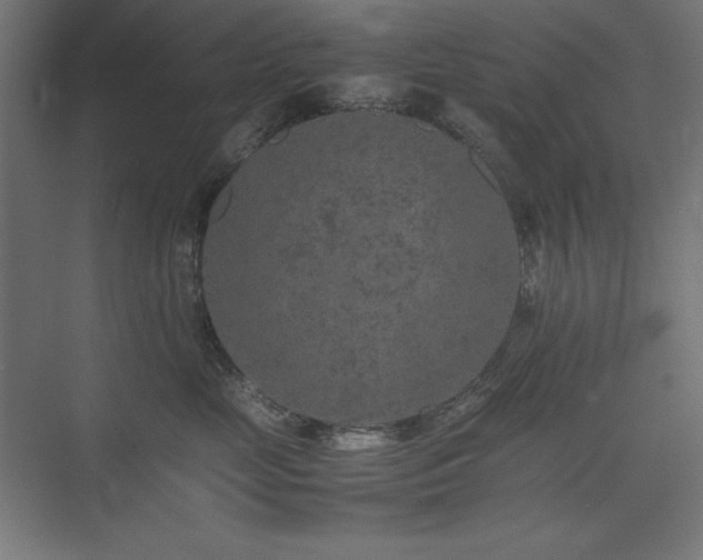 X0000074970669200609011217