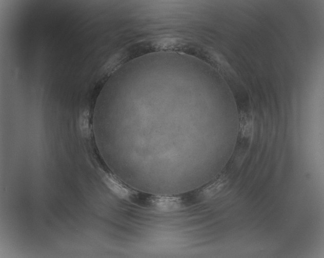 X0000074970670200609011217