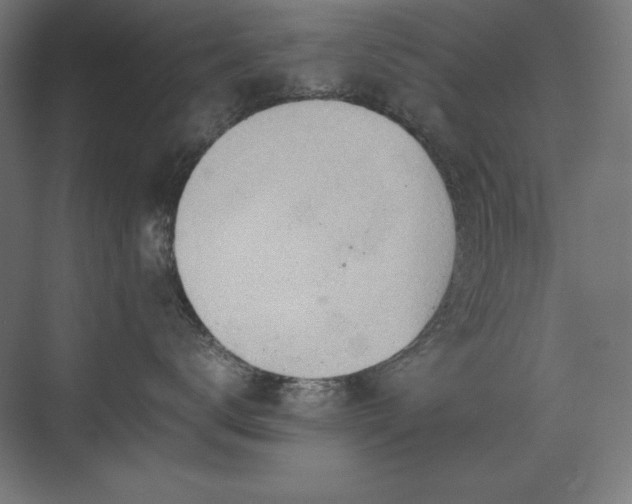 X0000074970672200609011217