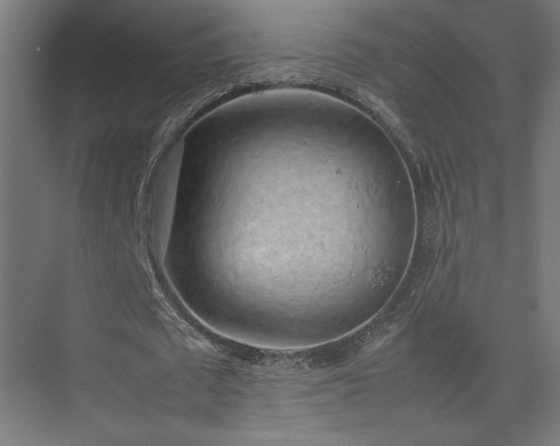 X0000074970673200609011216