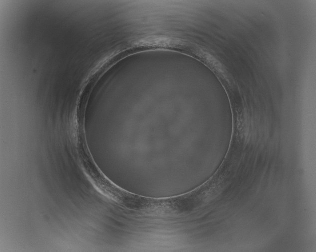 X0000074970674200609011216