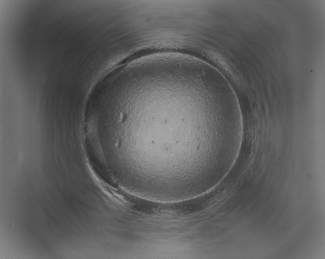 X0000074970677200609011216