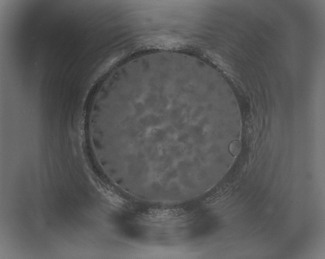 X0000074970679200609011216