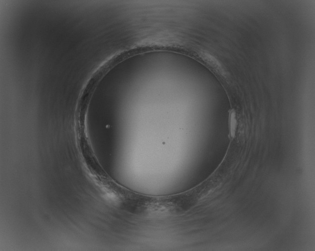 X0000074970680200609011216