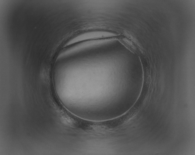 X0000074970681200609011216